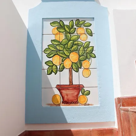 Traditional & Private Rooftop *